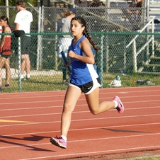 Enlarge photo 131