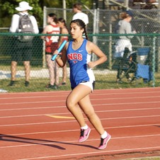 Enlarge photo 133