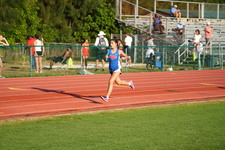 Enlarge photo 135