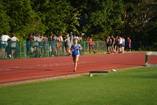 Enlarge photo 144