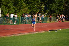 Enlarge photo 151