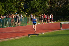 Enlarge photo 154