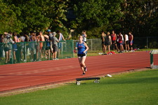 Enlarge photo 157