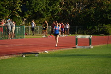 Enlarge photo 195