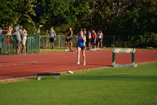 Enlarge photo 196