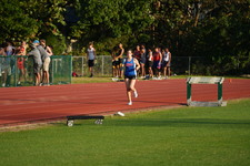 Enlarge photo 199