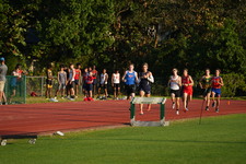 Enlarge photo 219