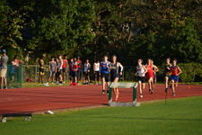Enlarge photo 221