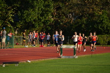 Enlarge photo 223