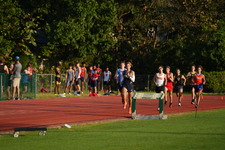 Enlarge photo 224