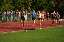 Enlarge photo 227
