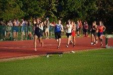 Enlarge photo 229
