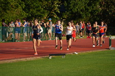 Enlarge photo 228