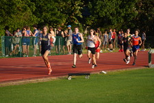Enlarge photo 230
