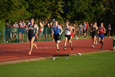 Enlarge photo 231