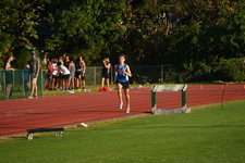 Enlarge photo 254