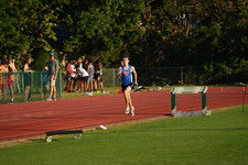 Enlarge photo 258