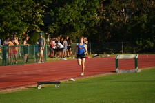 Enlarge photo 259