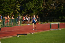 Enlarge photo 261