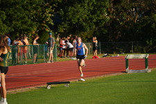 Enlarge photo 262
