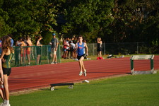 Enlarge photo 263