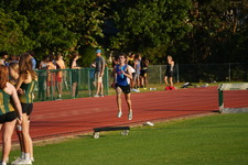 Enlarge photo 266