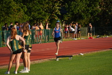 Enlarge photo 270