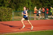 Enlarge photo 274