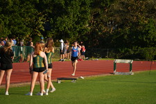 Enlarge photo 283