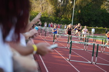 Enlarge photo 355