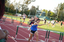 Enlarge photo 381