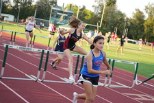 Enlarge photo 384