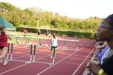 Enlarge photo 397