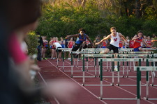 Enlarge photo 510