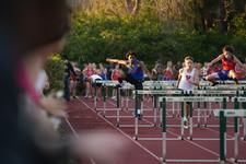 Enlarge photo 511