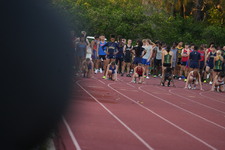 Enlarge photo 582
