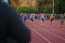 Enlarge photo 585