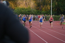 Enlarge photo 584
