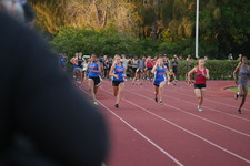 Enlarge photo 586