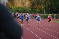 Enlarge photo 590