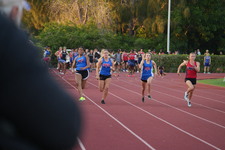 Enlarge photo 591