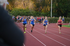 Enlarge photo 592
