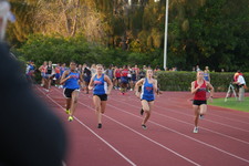 Enlarge photo 593