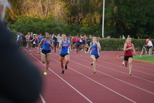 Enlarge photo 595