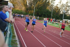 Enlarge photo 597