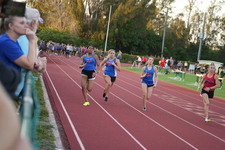 Enlarge photo 598