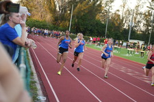 Enlarge photo 602