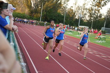 Enlarge photo 603