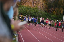 Enlarge photo 706