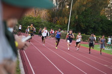 Enlarge photo 716